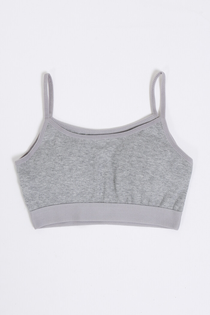 Gri Kaşkorse Dolgulu 2li Büstiyer